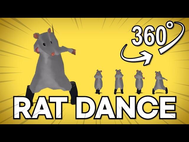 Rat dance ! | VR 360°