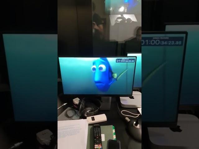 Alla Ricerca di Nemo addio Dory