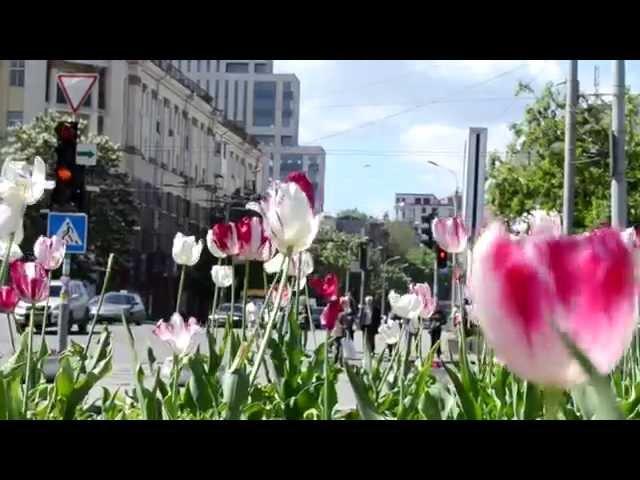 Юрий Антонов. Не рвите цветы