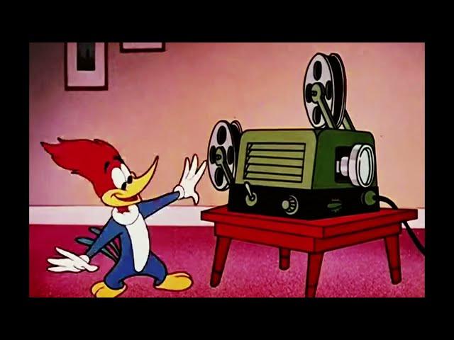 Woody Woodpecker Cartoon Theme (1962) - Darrell Calker arranged Music Cue Open/End [in DYNA-STEREO]