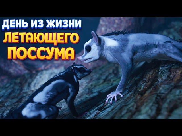 ДЕНЬ ИЗ ЖИЗНИ ЛЕТАЮЩЕГО ПОССУМА ( AWAY: The Survival Series )