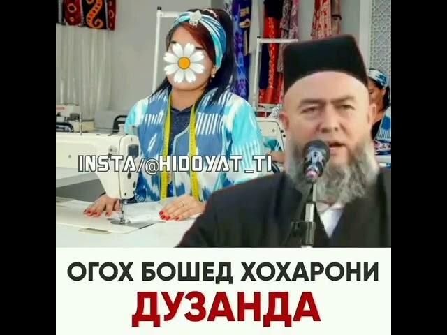 Дар Бораи Хохархои Дузанда