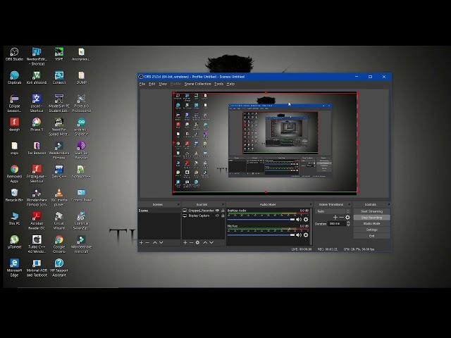 How to crop and record a particular area in OBS