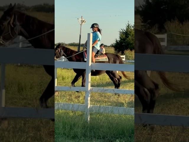 #horse #flash #equestrian my lesson today with flash