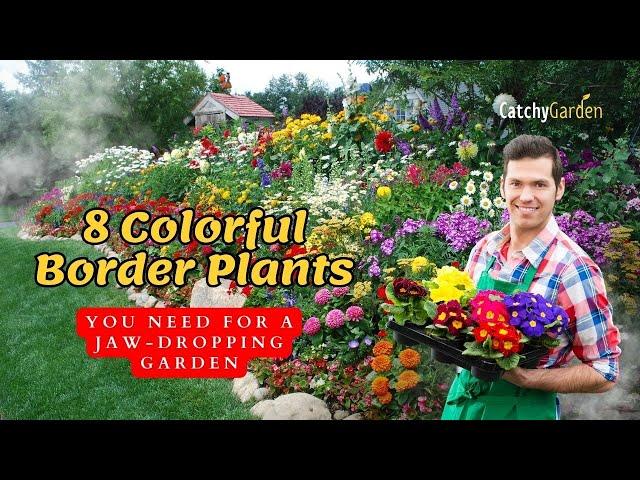 Top 8 Colorful Border Plants You Need for a Jaw Dropping Garden  // Gardening Ideas