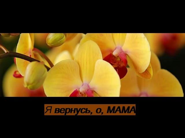 Ya ummi О, моя мама - Нашид