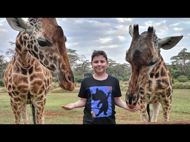 24 hours at Giraffe Manor, Nairobi Kenya 4K