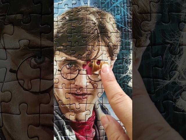 The Last PiecesHarry Potter Jigsaw Puzzle Oddly Satisfying