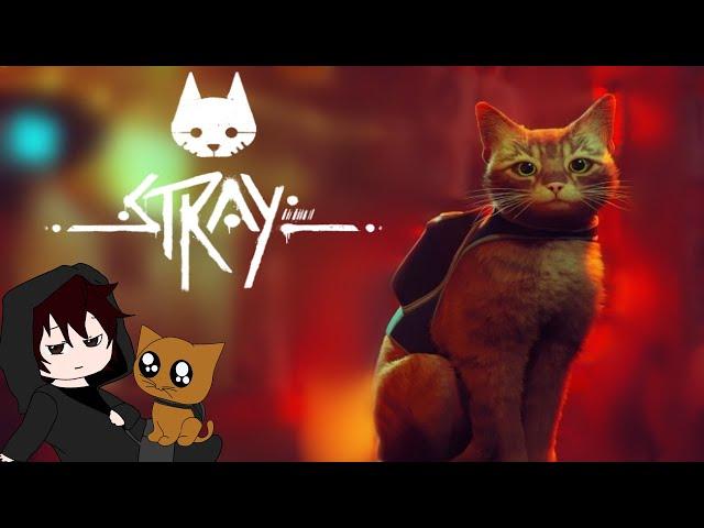 Обзор на Stray | Лучшая игра 2022 или хайпящий проходняк? | Стоит ли покупать Stray?