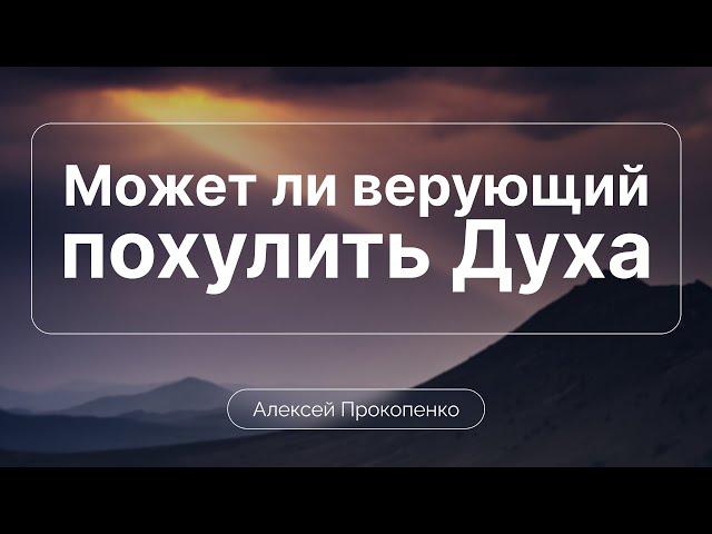 К кому относится предупреждение о хуле на Духа | Алексей Прокопенко