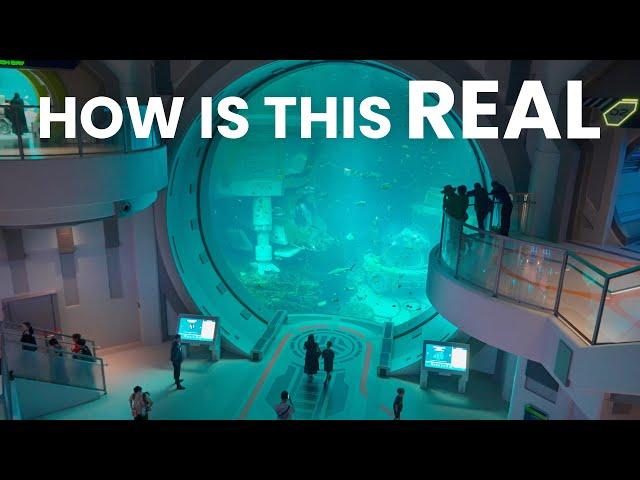 SeaWorld Abu Dhabi Review | Game Changing 1.2 BILLION Dollar Indoor Theme Park