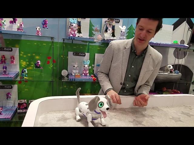 Toy Fair 2018 : Spin Master - Zoomer Playful Pup