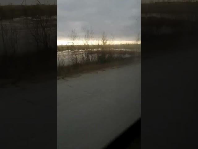 окрестности Коротчаево Новый Уренгой Ямало-Ненецкий автономный округ