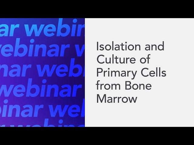 Isolation and Culture of Primary Cells from Bone Marrow