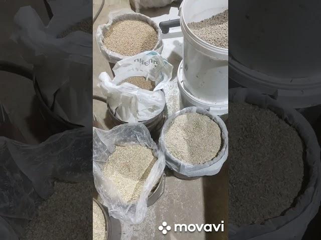 Куры зимой несутся каждый день!