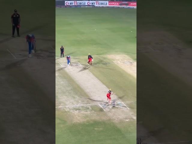Virat vs strac #cricket #indiavssrilanka3rdodi