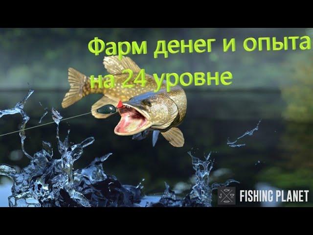 Fishing Planet фарм Денег и Опыта после 23 уровня озеро Вайт Мус