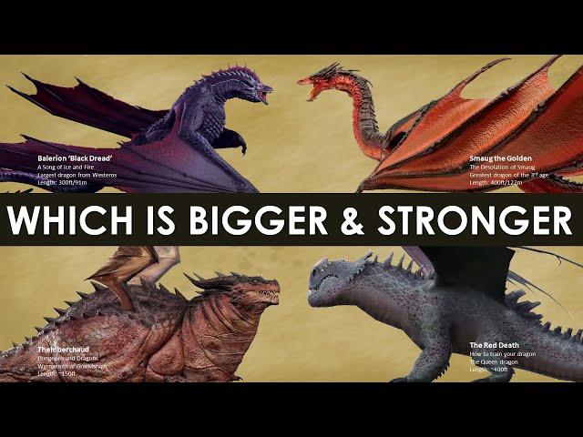 Biggest, Oldest, Smartest, and Strongest Dragons Comparison