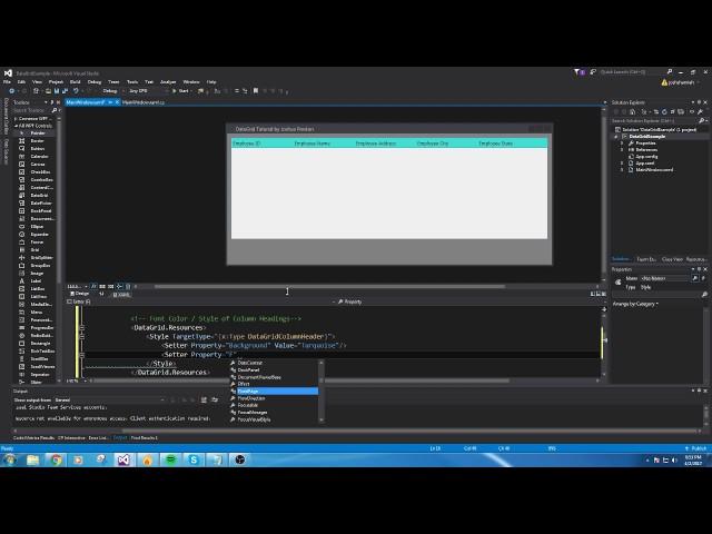 An EASY tutorial for Creating your first DataGrid in C# using WPF