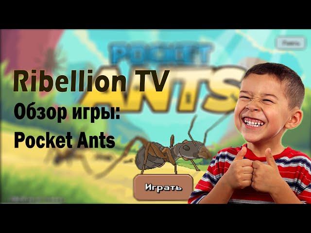 Pocket Ants: обзор игры