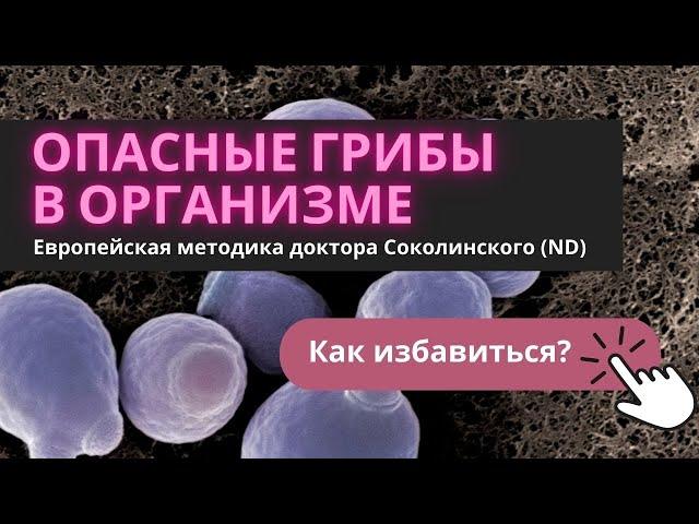 Избавиться от грибов в организме. Нужно не менее 30 дней!