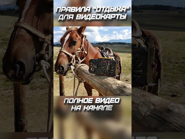 Правильный подбор комплектующих при сборке ПК (PC) - Видеокарта #pc #gaming #сборкапк #комплектующие