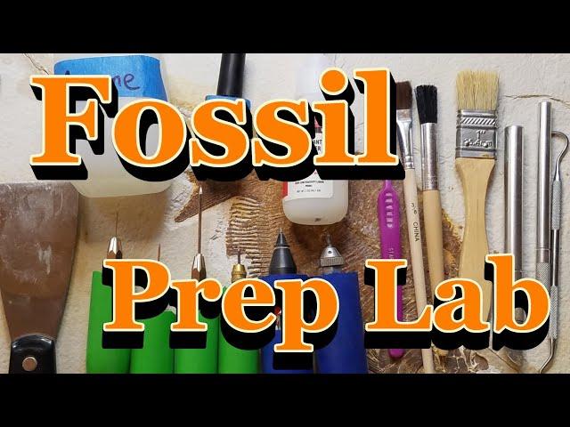 How I set up my fossil prep lab