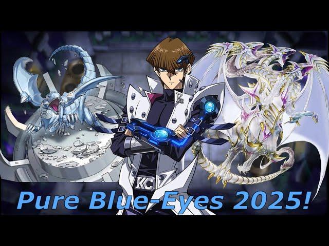 PURE BLUE-EYES DECK 2025! Destroying Meta with the new Blue-Eyes supports!