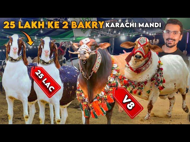 Karachi Mandi Ke BIG BULLS - Worth Billions, Asia's Largest Cattle Mandi
