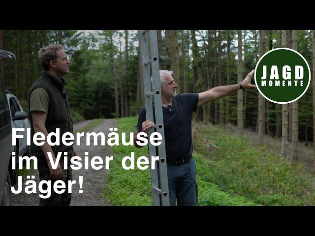 Auf der Jagd nach Fledermäusen | Webserie #10