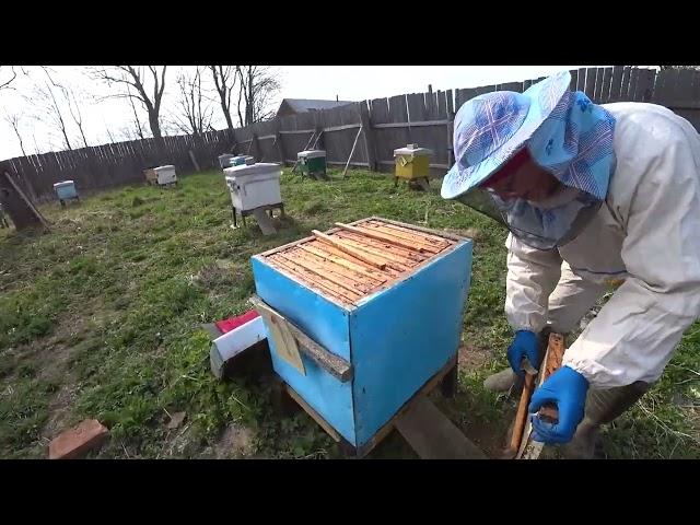 The second apiary is better - look!