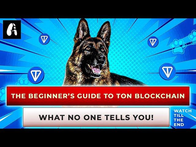 The Beginner’s Guide to TON Blockchain: What No One Tells You!