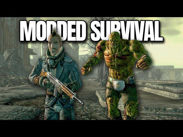 Modding Fallout 3 into a Survival Game (it did not go well)