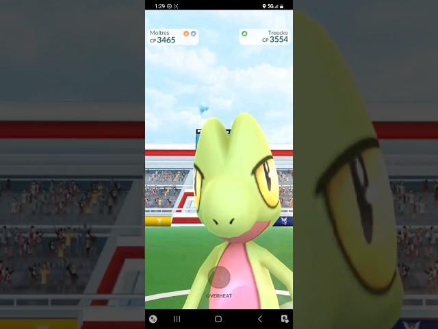Pokémon GO - Treecko Raid