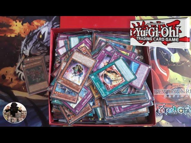 Ouverture Mystère d'un lot incroyable de cartes Yugioh acheté 105 Euros sur Ebay