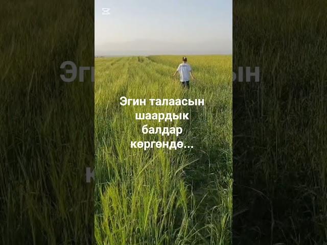 5 мая 2025 г.