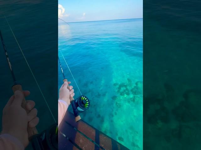 Epic Saltwater Fly Fishing in Mexico!
