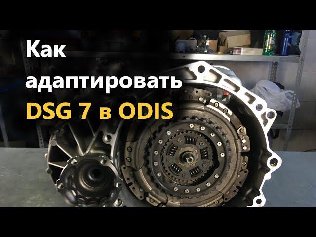 Как адаптировать коробку DSG 7 0CW с помощью ODIS Service