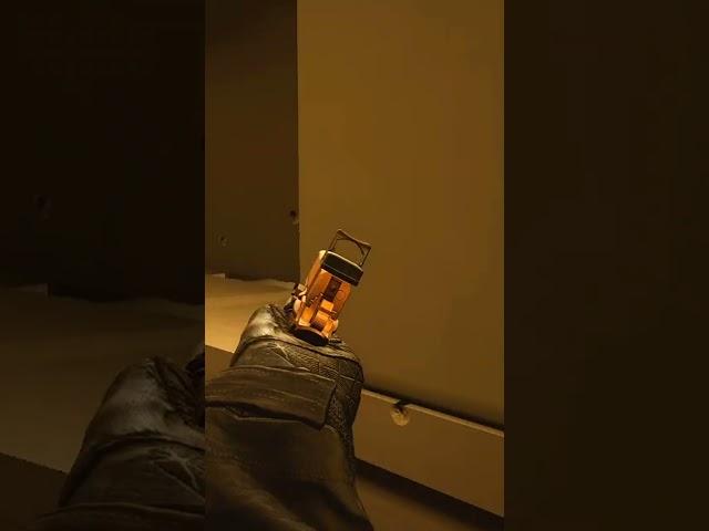 Shoot Now Ask Later! Ready Or Not Funny Moments!