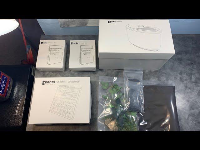 Unboxing AntsCanada Camponotus hybrid nest and AntsCanada outworld