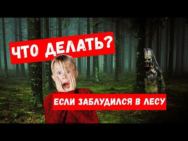 ЧТО ДЕЛАТЬ ЕСЛИ ЗАБЛУДИЛСЯ В ЛЕСУ?