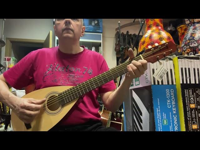 Hora S1250 (S1125) Travel Guitar (Тревел гитара)