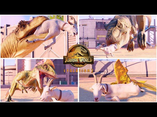 Goat Hunting Animations of All Carnivore Dinosaurs  Jurassic World Evolution 2