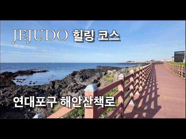 [제주도] 힐링하기 좋은 해안산책로 추천! / 연대포구 해안산책로 / 반려동물 동반가능 / 주변에 예쁜 카페들도 많아요