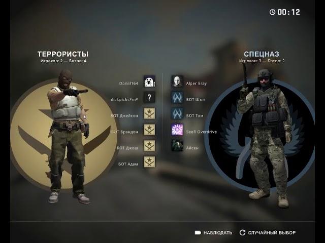 cs go:я это сделал задание от подпишика в дискорде