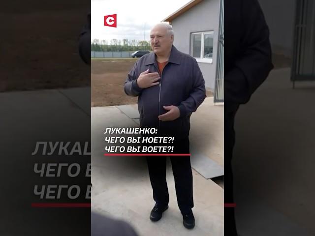 Лукашенко: Чего вы ноете?! Чего вы воете?! #беларусь #лукашенко #политика #новости