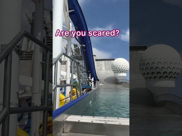 Are You Scared? Royal Caribbean Cruise Slides #shorts #royalcaribbean #libertyoftheseas