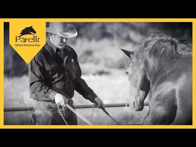 Parelli Horse Training - Horsemanship