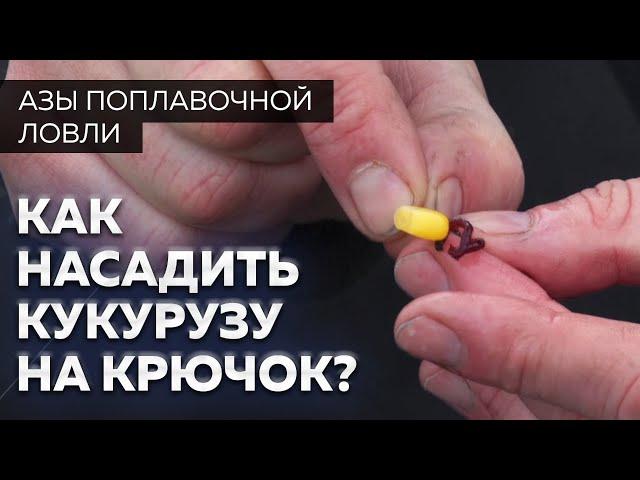 Как насадить кукурузу на крючок?  Уроки рыбалки от Юрия Радугина.