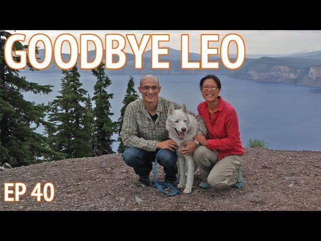 A Tribute to Leo, Our Siberian Husky Dog | We’re the Russos